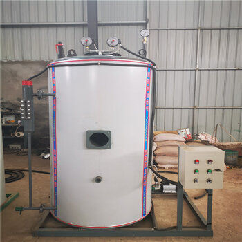 水泥管养护蒸汽发生器价格300公斤燃气蒸汽发生器现货供应